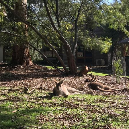 The Lodges Halls Gap Exterior foto